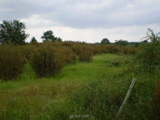 2007 05 Séjour en Brenne 090